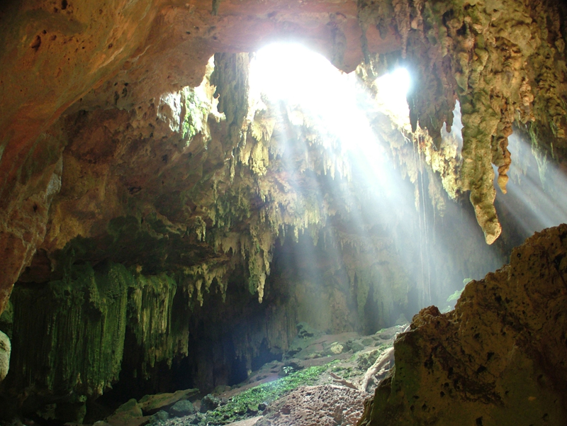 The Culture Cave